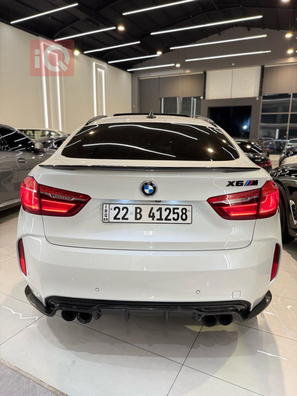 بی ئێم دەبڵیو X6